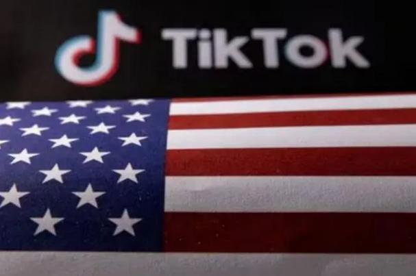 TikTok刷粉团队,标题:揭秘TikTok刷粉团队:背后隐藏的商业秘密!