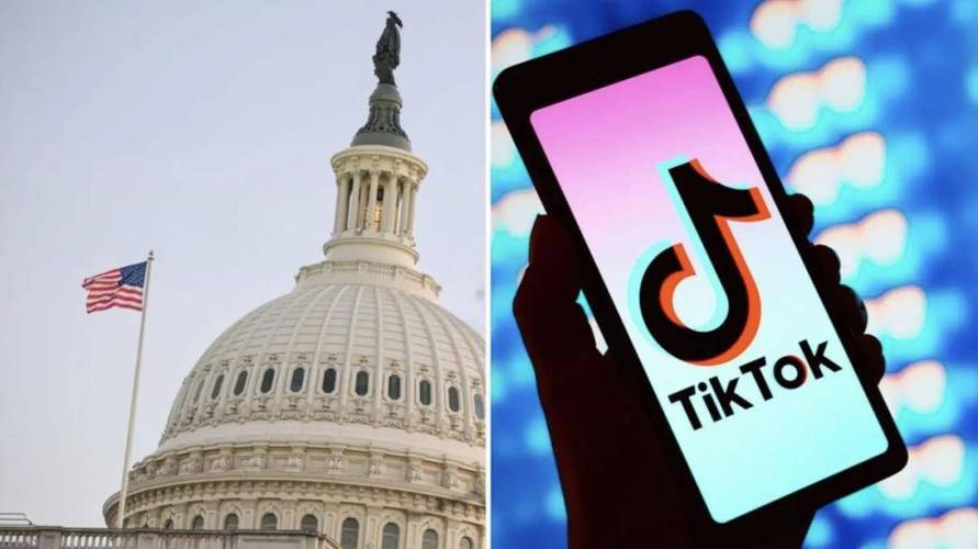TikTok刷粉团队,标题:揭秘TikTok刷粉团队:背后隐藏的商业秘密!