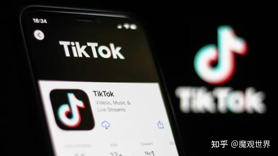 谁有TikTok刷粉,TikTok刷粉:揭秘背后的真相与风险!