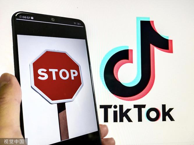 谁有TikTok刷粉,TikTok刷粉:揭秘背后的真相与风险!