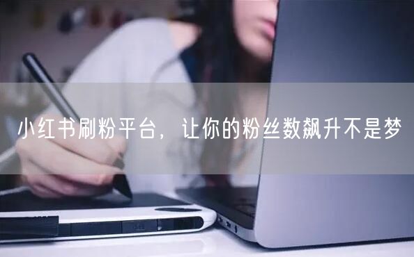 小红书刷粉平台，让你的粉丝数飙升不是梦
