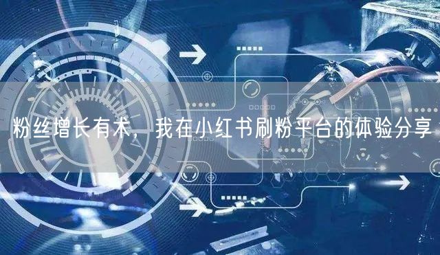 粉丝增长有术，我在小红书刷粉平台的体验分享