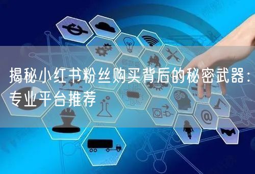 揭秘小红书粉丝购买背后的秘密武器：专业平台推荐