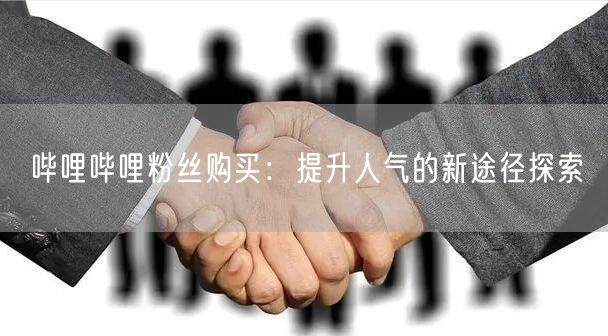 哔哩哔哩粉丝购买：提升人气的新途径探索