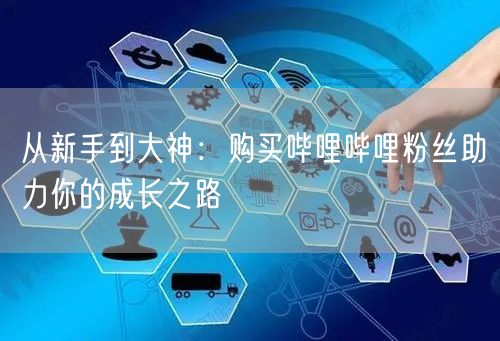 从新手到大神：购买哔哩哔哩粉丝助力你的成长之路