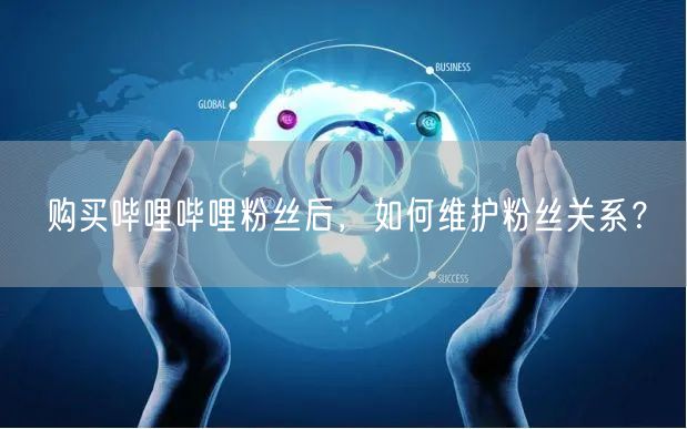 购买哔哩哔哩粉丝后，如何维护粉丝关系？
