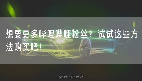 想要更多哔哩哔哩粉丝？试试这些方法购买吧！