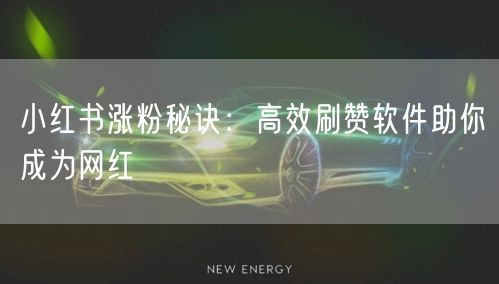 小红书涨粉秘诀：高效刷赞软件助你成为网红