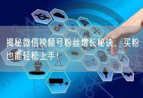 揭秘微信视频号粉丝增长秘诀，买粉也能轻松上手！