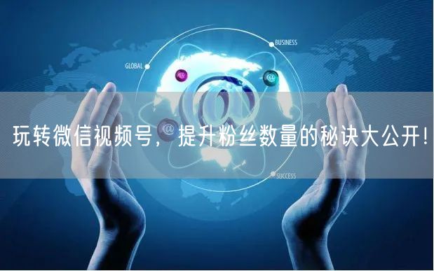 玩转微信视频号，提升粉丝数量的秘诀大公开！