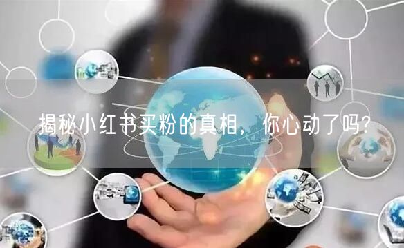 揭秘小红书买粉的真相，你心动了吗?