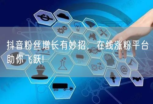 抖音粉丝增长有妙招，在线涨粉平台助你飞跃!