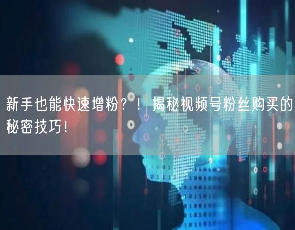 新手也能快速增粉？！揭秘视频号粉丝购买的秘密技巧！
