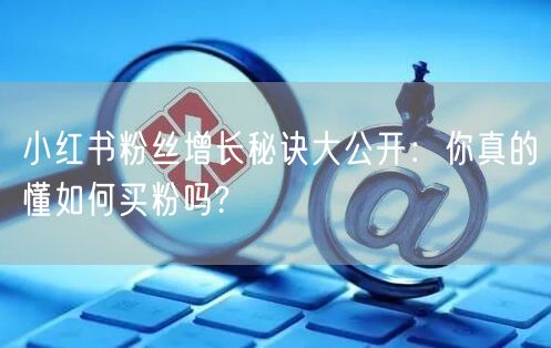 小红书粉丝增长秘诀大公开：你真的懂如何买粉吗?