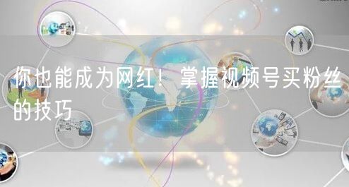 你也能成为网红！掌握视频号买粉丝的技巧