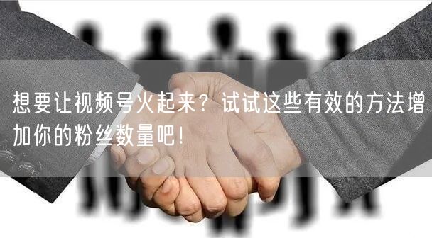 想要让视频号火起来？试试这些有效的方法增加你的粉丝数量吧！