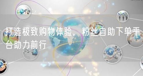 打造极致购物体验，粉丝自助下单平台助力前行