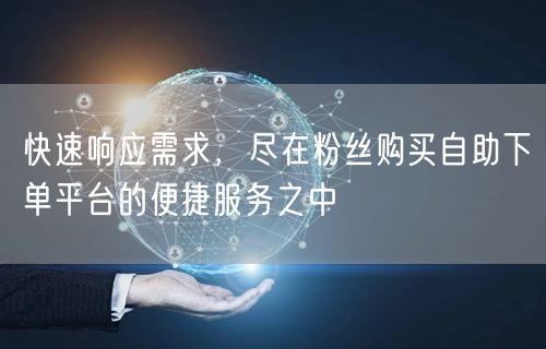 快速响应需求，尽在粉丝购买自助下单平台的便捷服务之中