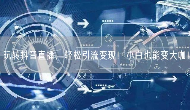玩转抖音直播，轻松引流变现！小白也能变大咖！