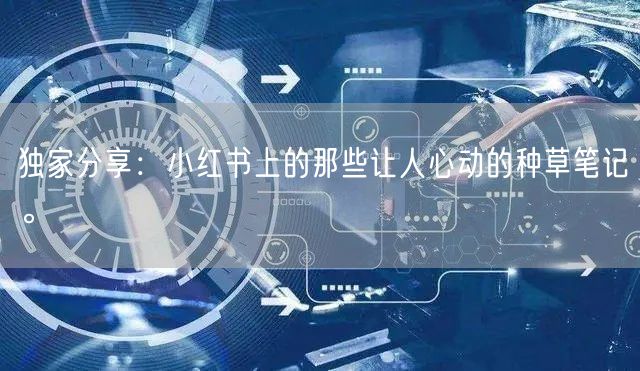 独家分享：小红书上的那些让人心动的种草笔记。