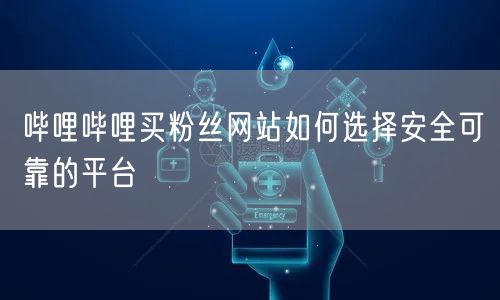哔哩哔哩买粉丝网站如何选择安全可靠的平台