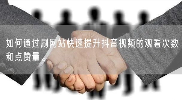 如何通过刷网站快速提升抖音视频的观看次数和点赞量。