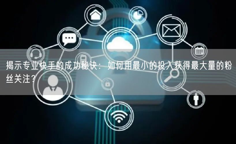 揭示专业快手的成功秘诀：如何用最小的投入获得最大量的粉丝关注？
