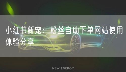 小红书新宠：粉丝自助下单网站使用体验分享