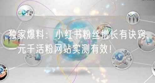 独家爆料：小红书粉丝增长有诀窍，一元千活粉网站实测有效！