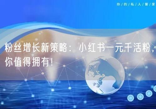 粉丝增长新策略：小红书一元千活粉，你值得拥有！