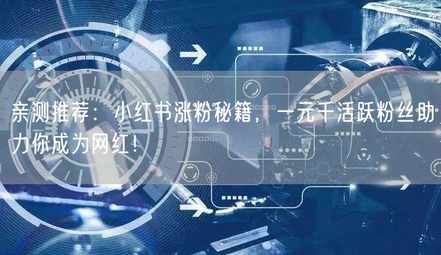 亲测推荐：小红书涨粉秘籍，一元千活跃粉丝助力你成为网红！