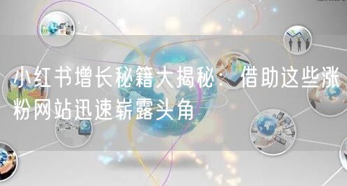 小红书增长秘籍大揭秘：借助这些涨粉网站迅速崭露头角
