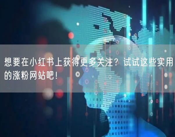 想要在小红书上获得更多关注？试试这些实用的涨粉网站吧！