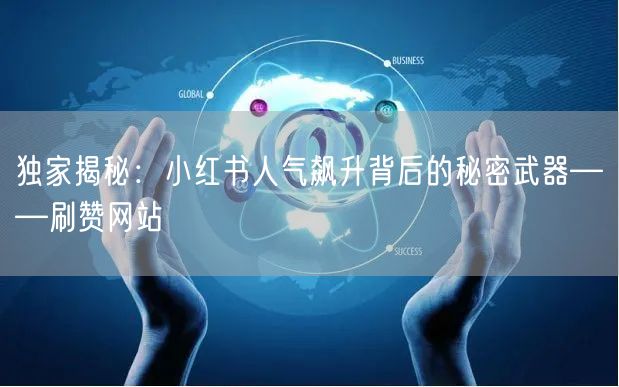独家揭秘：小红书人气飙升背后的秘密武器——刷赞网站
