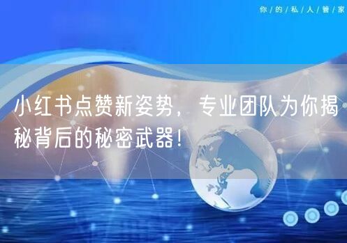 小红书点赞新姿势，专业团队为你揭秘背后的秘密武器！