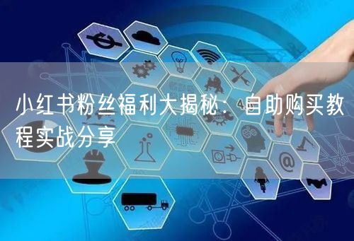小红书粉丝福利大揭秘：自助购买教程实战分享