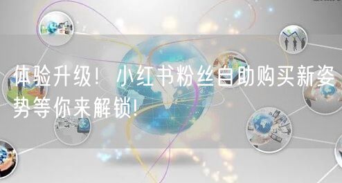 体验升级！小红书粉丝自助购买新姿势等你来解锁!