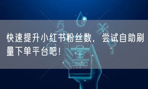 快速提升小红书粉丝数，尝试自助刷量下单平台吧！