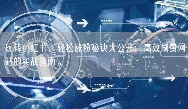 玩转小红书，轻松涨粉秘诀大公开：高效刷赞网站的实战指南。