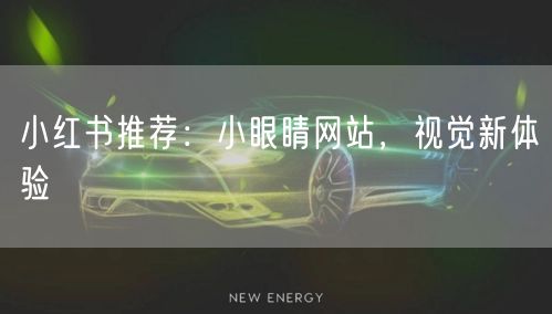 小红书推荐：小眼睛网站，视觉新体验