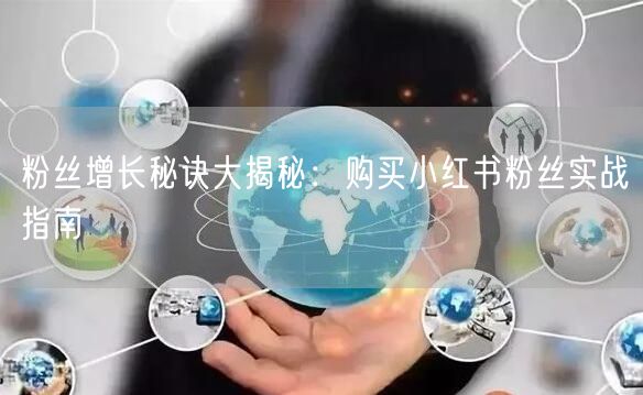 粉丝增长秘诀大揭秘：购买小红书粉丝实战指南