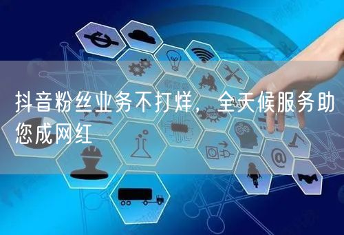 抖音粉丝业务不打烊，全天候服务助您成网红