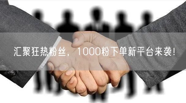 汇聚狂热粉丝，1000粉下单新平台来袭！
